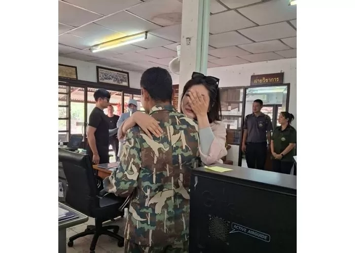 인사이트
