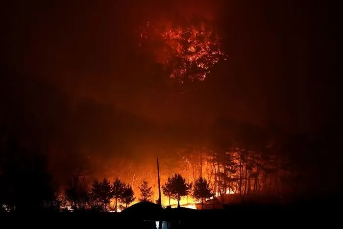 지난 25일 경북 안동시의 한 야산으로 번진 산불 / 뉴스1