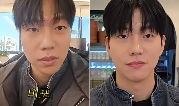 인사이트