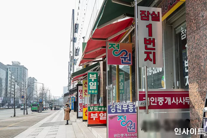 인사이트