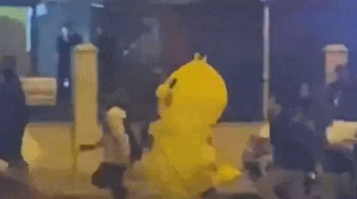 인사이트