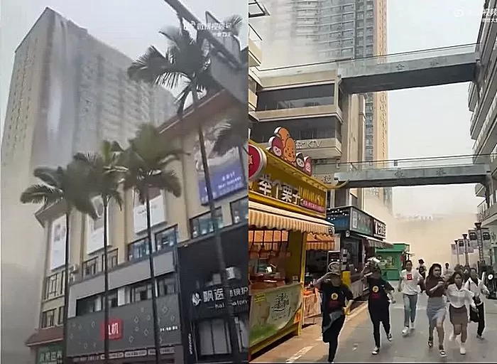 인사이트