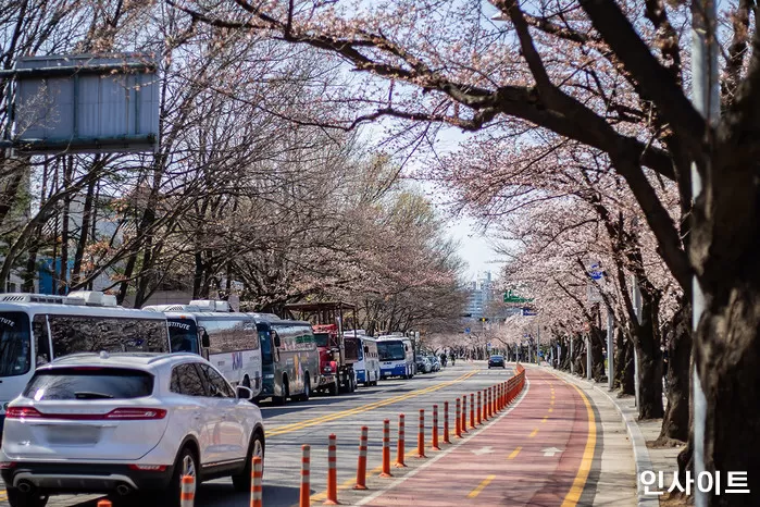 사진=인사이트