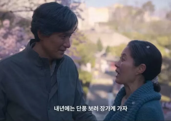 인사이트