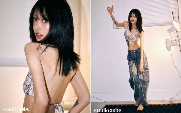 인사이트
