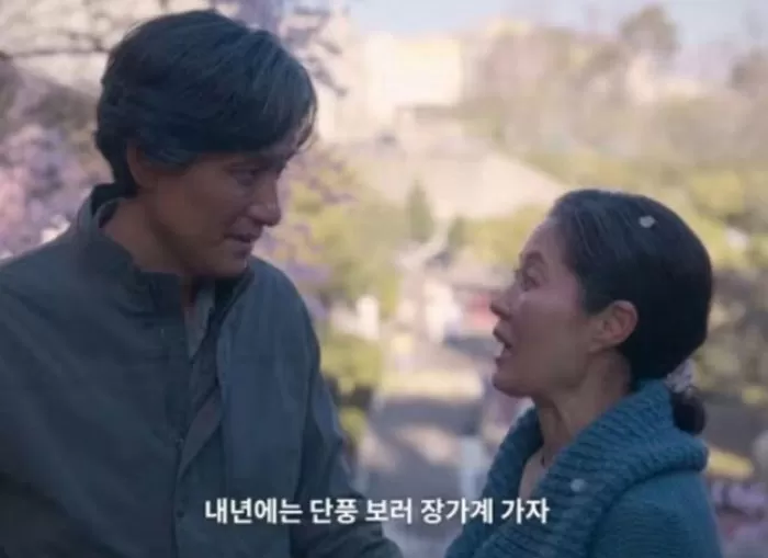 인사이트