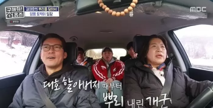 인사이트