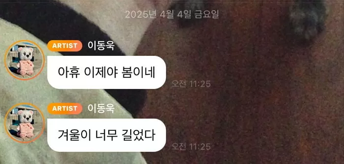 인사이트