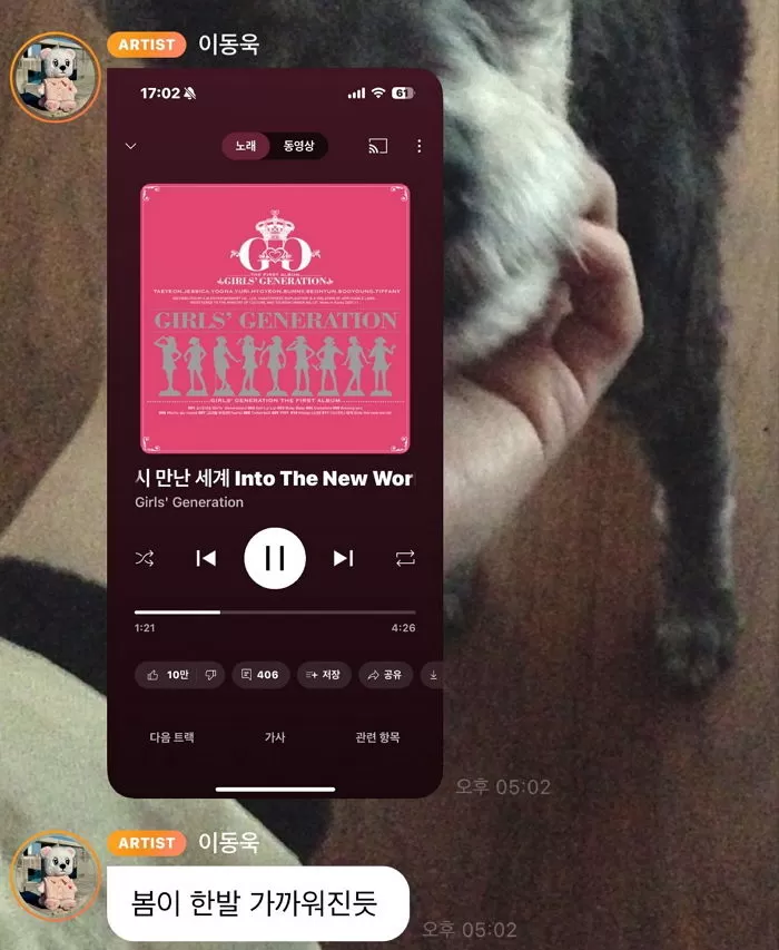 인사이트