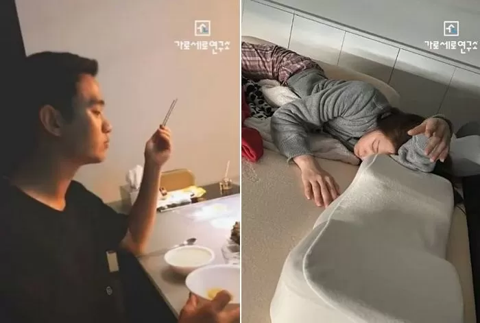 인사이트