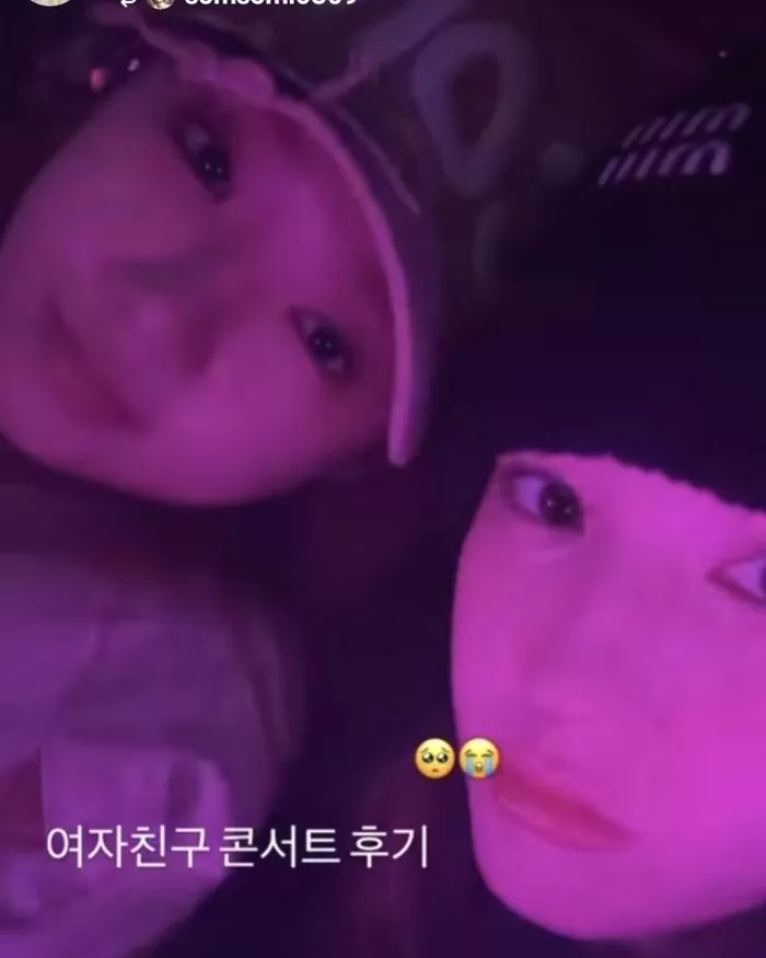 인사이트