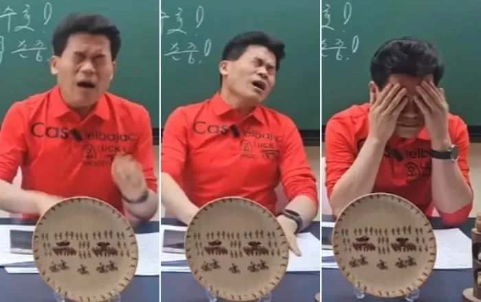 인사이트