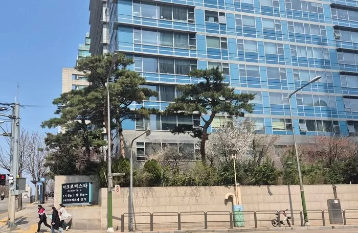 인사이트