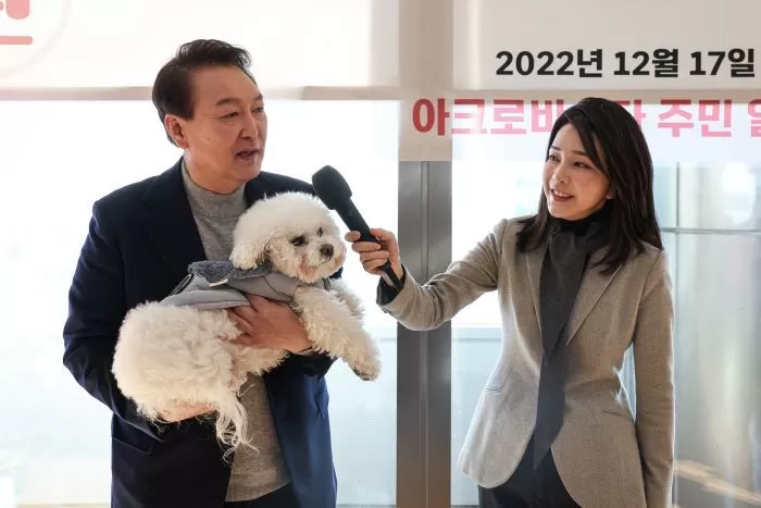 인사이트