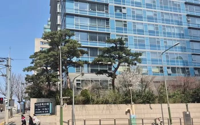 인사이트
