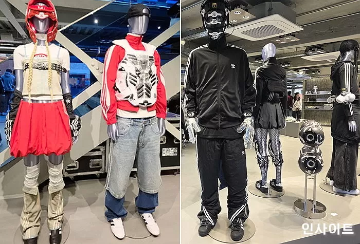 인사이트