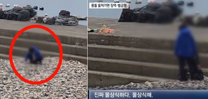 돌 예쁘기로 유명한 경남 남해 해변... 외지인은 뭉텅이로 도둑질 ‘눈살’