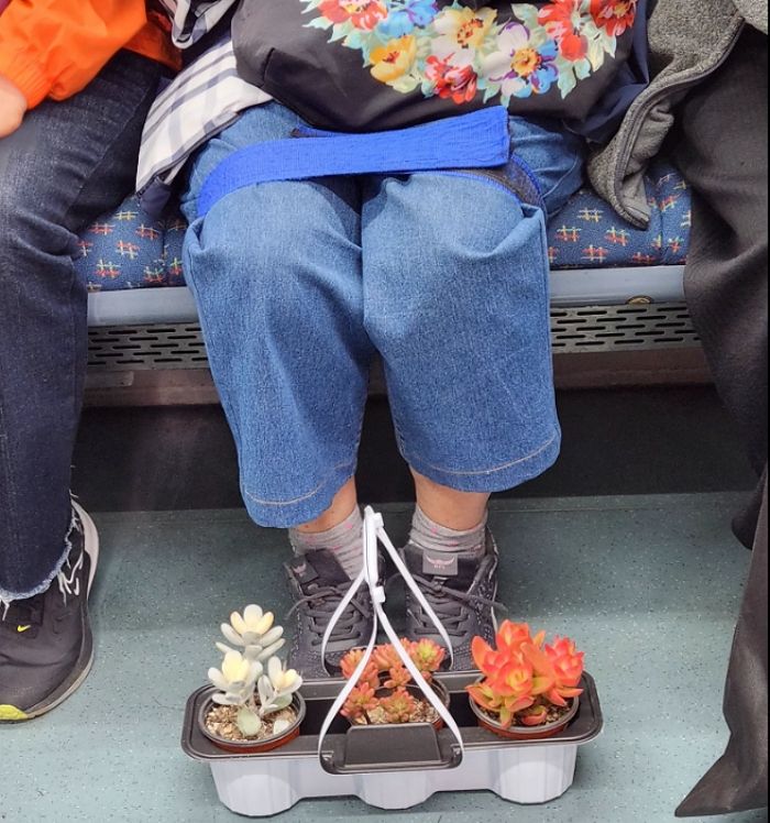 지하철서 ‘쩍벌’하면 민폐... 벨트로 다리 묶고 탑승한 부산 어르신
