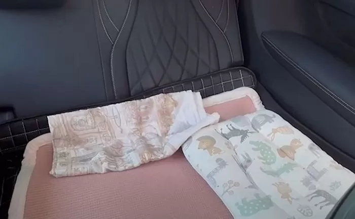 인사이트