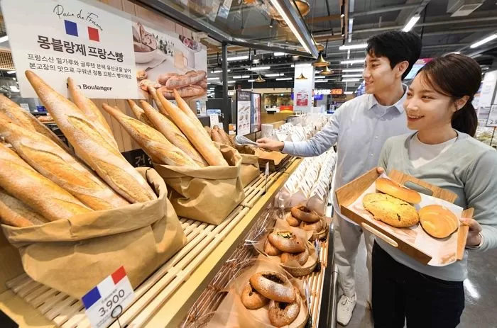 인사이트