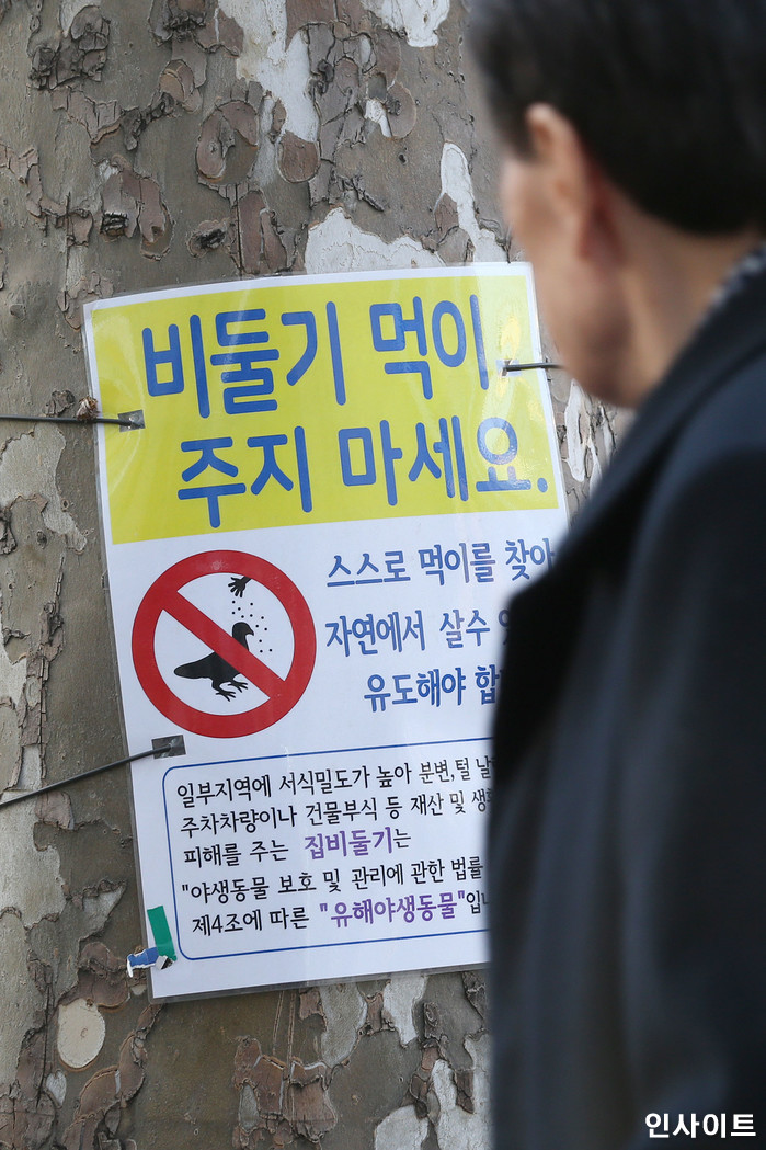 7월부터 서울서 비둘기 먹이 주면 과태료 낸다... “최대 ○○○만원”