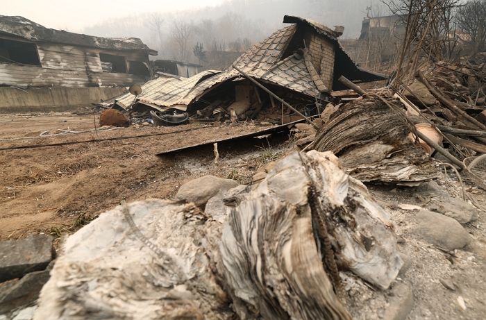 산불 지역에 ‘전입신고’ 급증... “재난지원금 받으려고?”