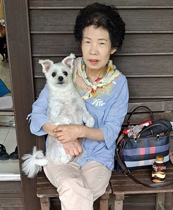 인사이트