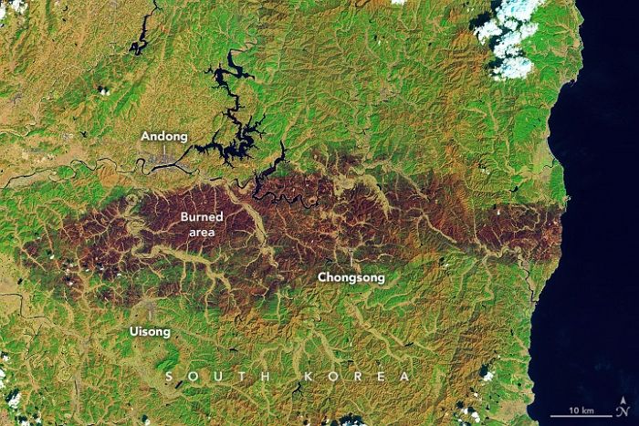 초토화된 ‘경북 산불’ 피해 현장... NASA 위성으로 보니, 80km 산림 검게 그을렸다