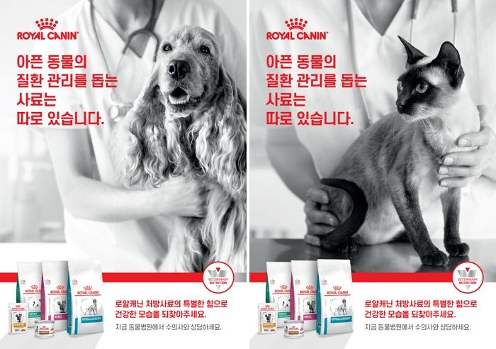 로얄캐닌, 올바른 처방사료 급여 문화를 위한 ‘처방사료 캠페인’ 진행