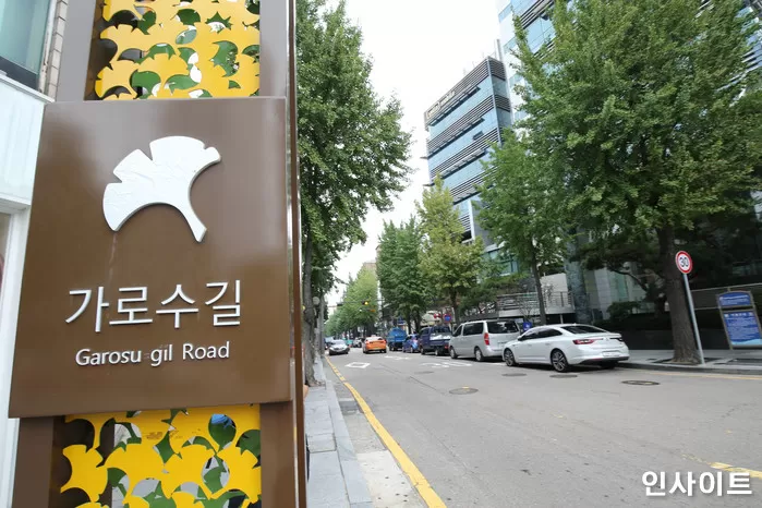 인사이트