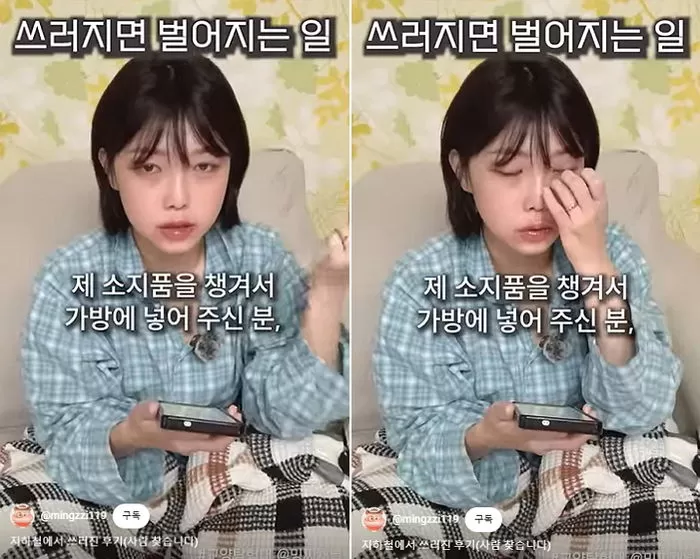 인사이트