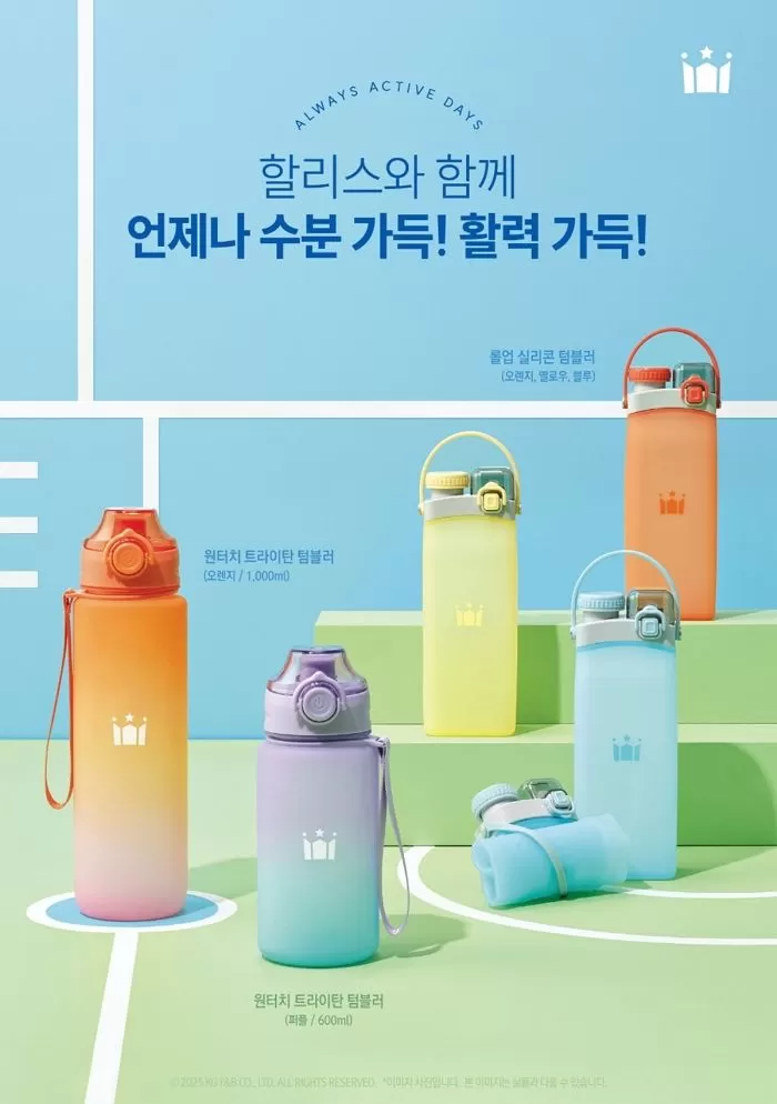 인사이트