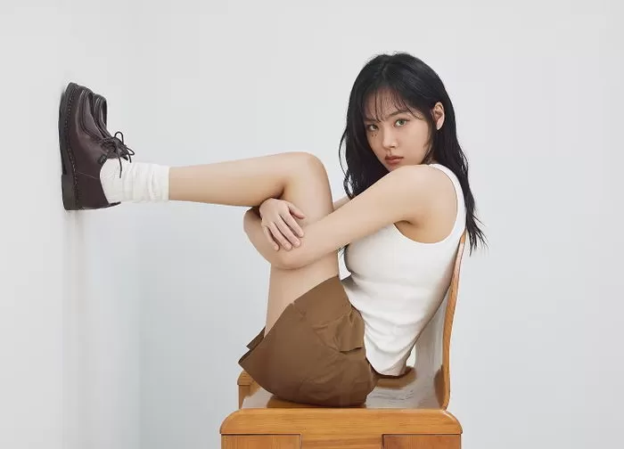 인사이트