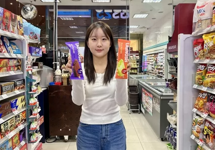 인사이트