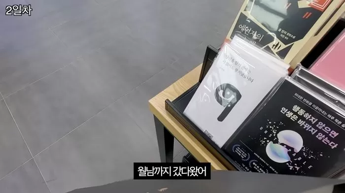 인사이트