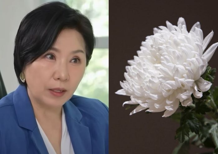 故 강지용 사망 비보에 ‘이혼숙려’서 직접 상담했던 교수가 올린 무거운 글