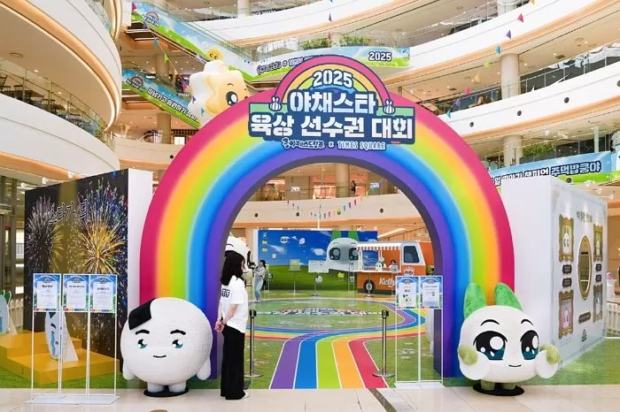 인사이트