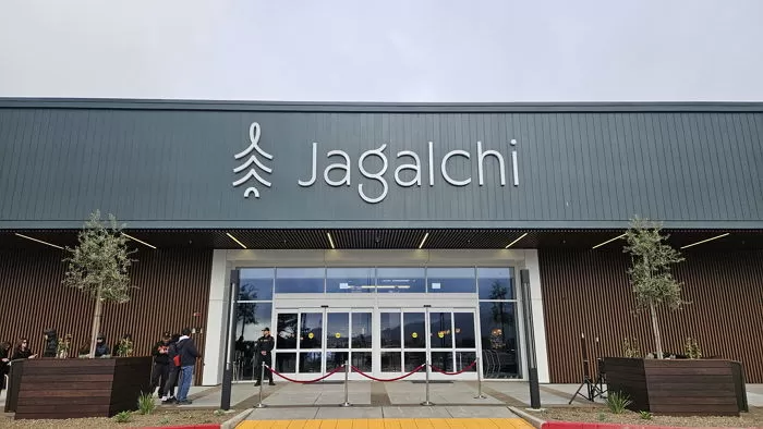 인사이트
