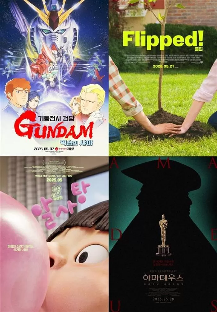 인사이트