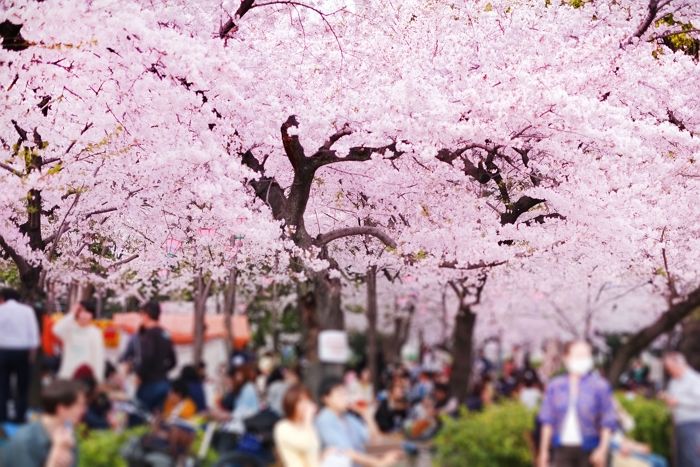 계속되는 뾰루지, 여드름 아니야... ‘이 병’이면 메이크업도 못한다