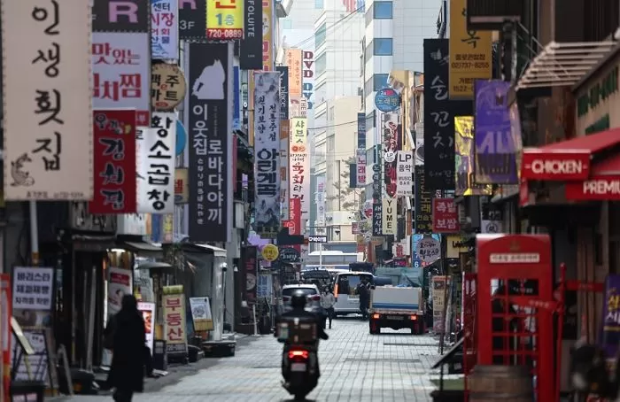 인사이트