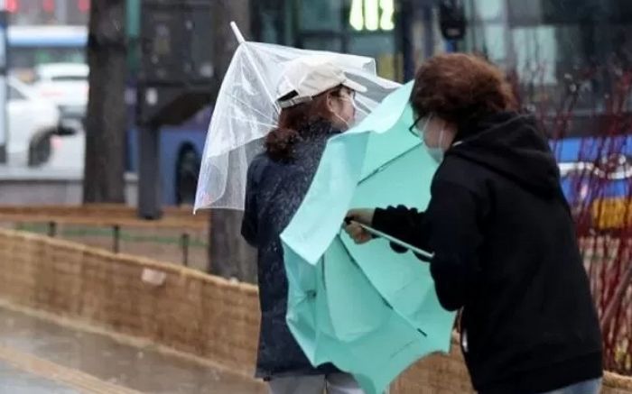 “우산 꽉 잡고 다니세요”... 내일(1일) 전국에 강풍 동반한 봄비 내린다