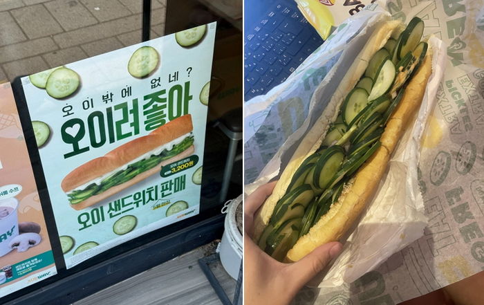 써브웨이, 5월 신상으로 ‘오이 샌드위치’ 출시... ‘오싫모’들 억장 와르르