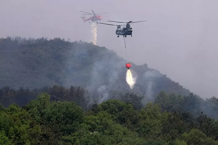 대구 북구 함지산 산불 발생 이틀째인 29일 오후 진화 작전에 투입된 산림청 헬기와 군용 헬기가 산 상공에서 물을 뿌리고 있다 / 뉴스1