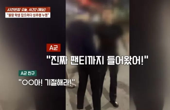 인사이트