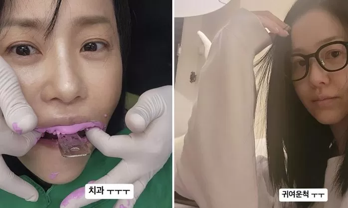인사이트