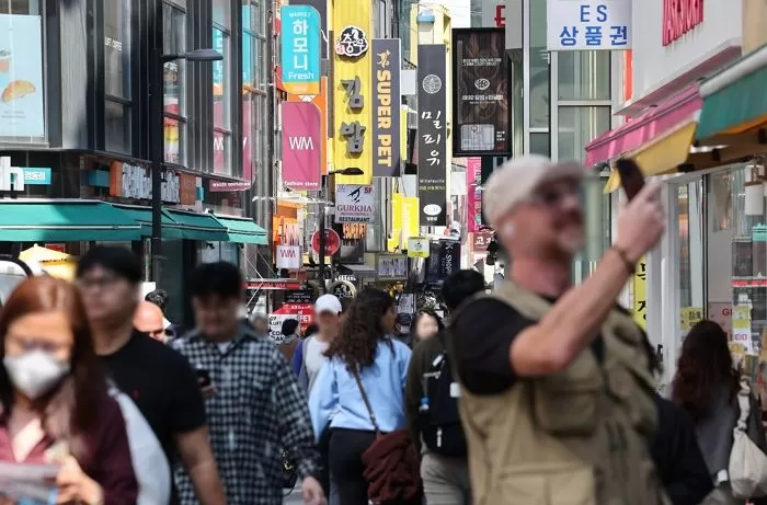 인사이트