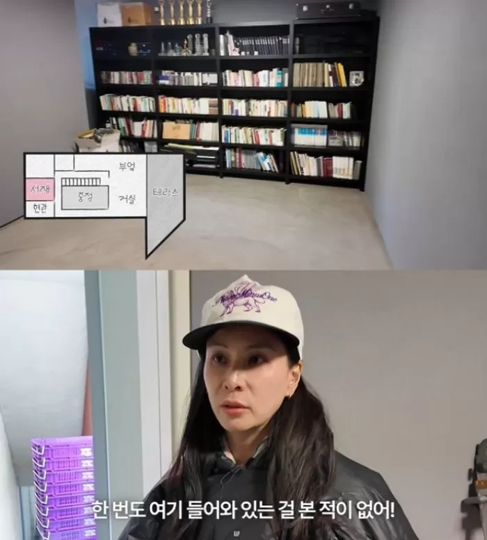 인사이트