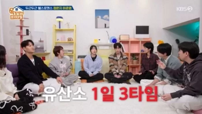 인사이트