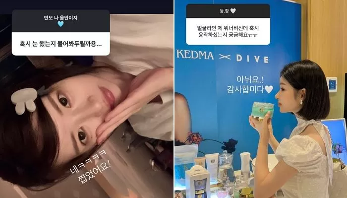 인사이트